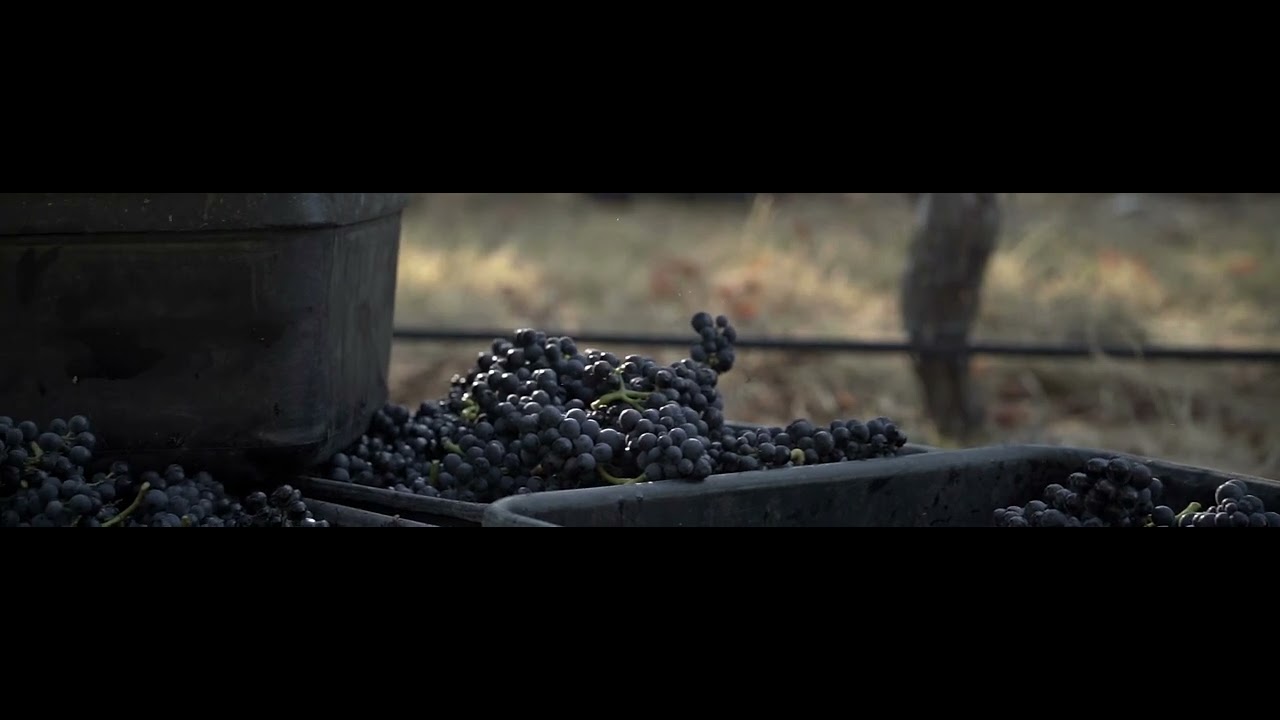NZ Productions showreel